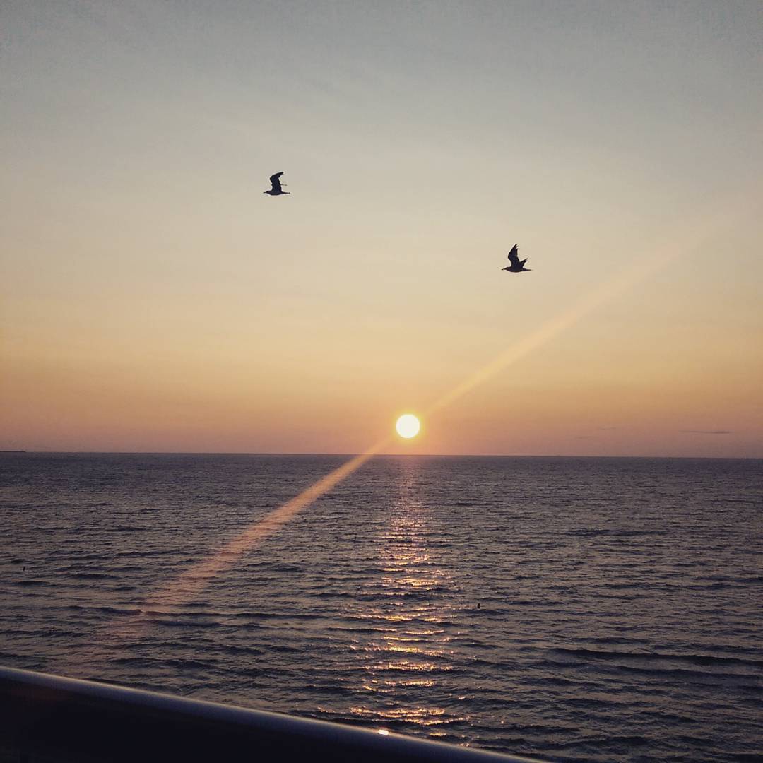 Vorbind de Mamaia, asistentele lui Capatos încă își amintesc cu drag experiența