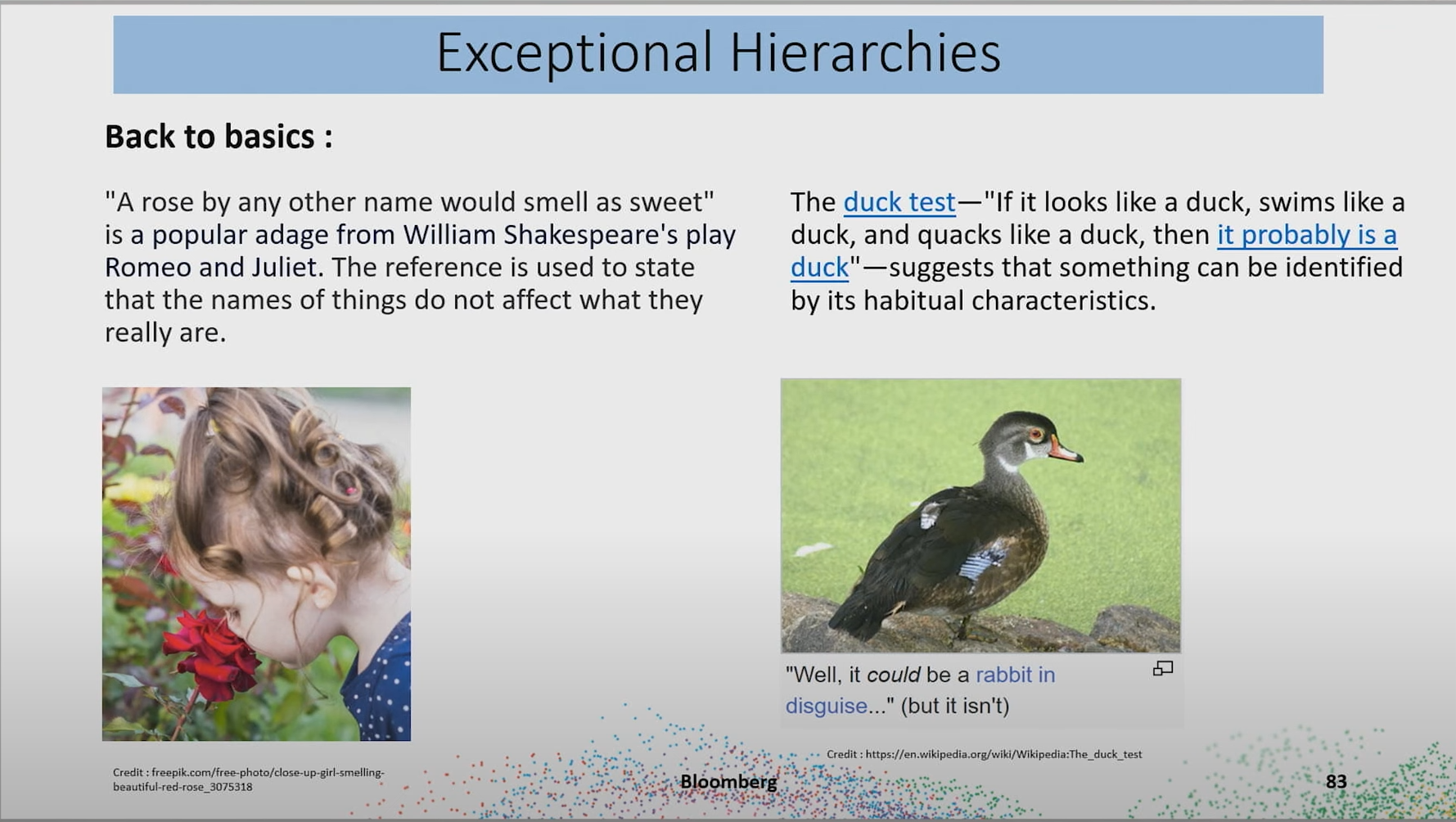 The duck test and an in depth explanation of it